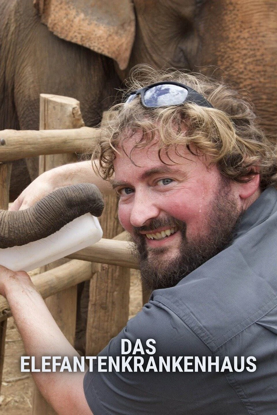 Elephant Hospital