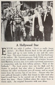 A Hollywood Star