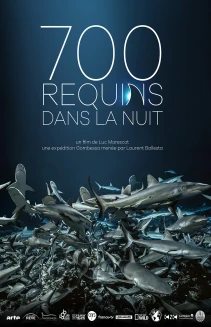 700 Sharks