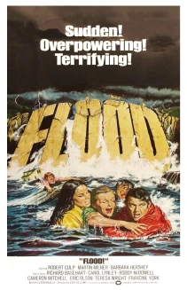 Flood