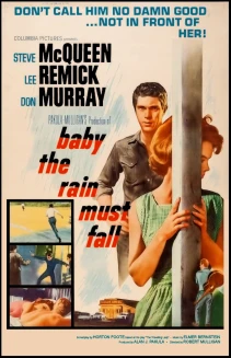 Baby the Rain Must Fall